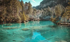 普宁向雪土建有限公司